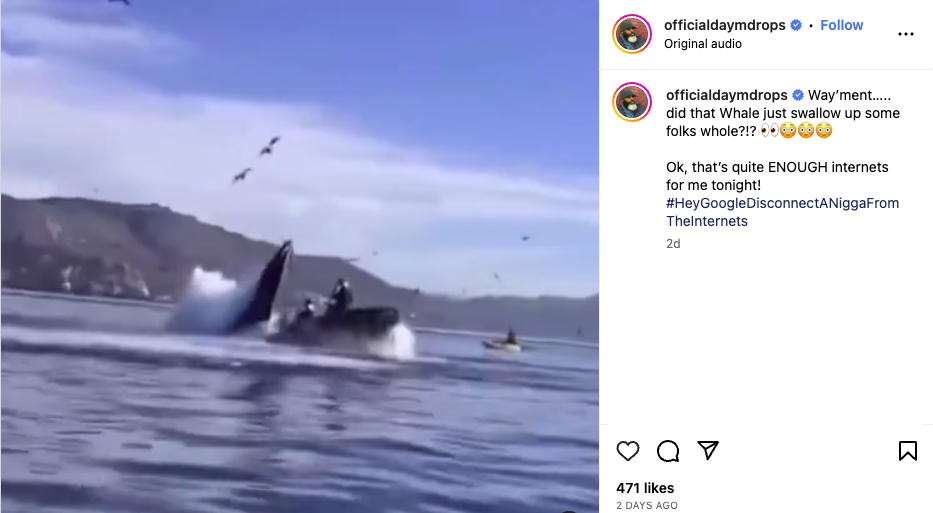 Fact Check Whale Did NOT 'Swallow' Two Kayakers Lead Stories